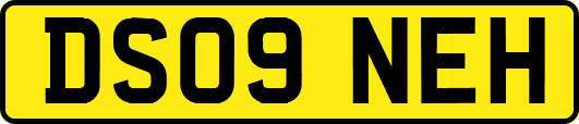 DS09NEH