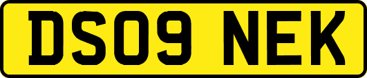 DS09NEK
