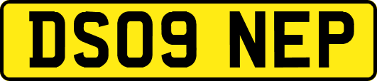 DS09NEP
