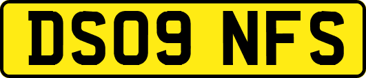 DS09NFS