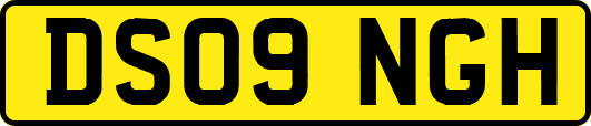 DS09NGH