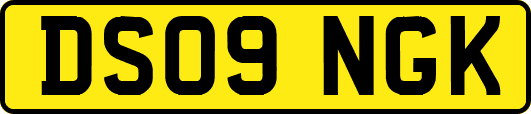 DS09NGK