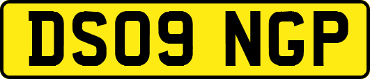 DS09NGP