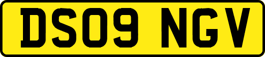DS09NGV