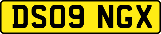 DS09NGX
