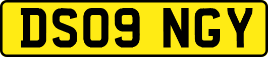 DS09NGY