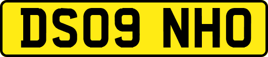 DS09NHO