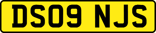 DS09NJS