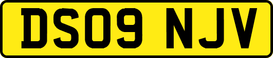 DS09NJV