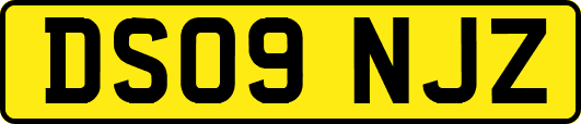 DS09NJZ