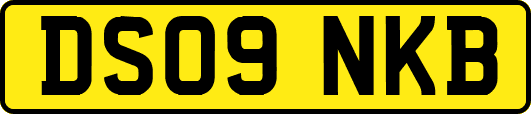 DS09NKB