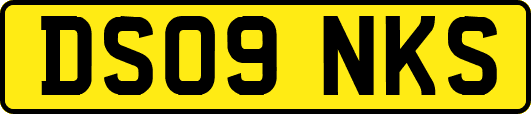 DS09NKS