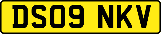 DS09NKV