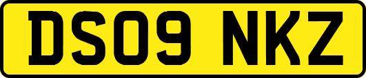 DS09NKZ