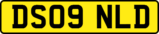 DS09NLD