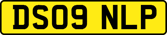 DS09NLP