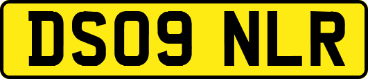 DS09NLR