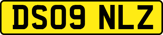 DS09NLZ