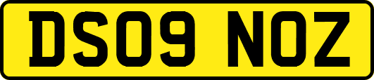 DS09NOZ