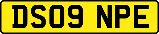 DS09NPE