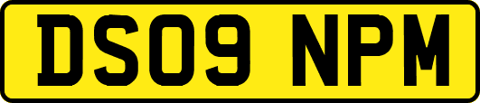 DS09NPM