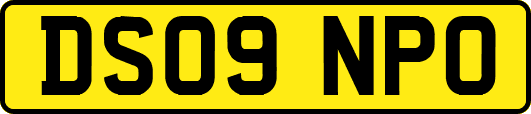 DS09NPO
