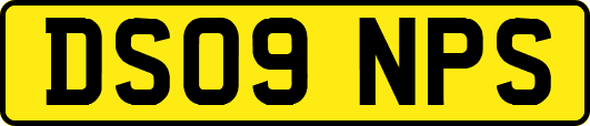 DS09NPS