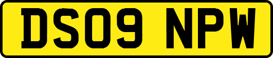 DS09NPW