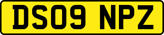 DS09NPZ