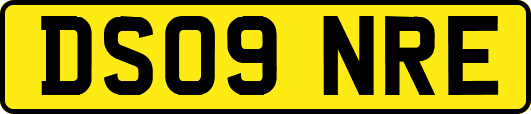 DS09NRE