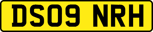 DS09NRH
