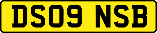 DS09NSB