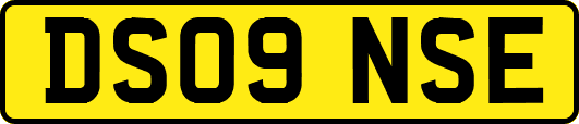 DS09NSE