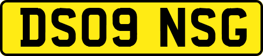 DS09NSG