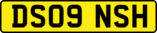 DS09NSH