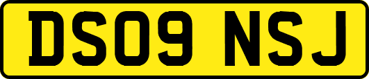 DS09NSJ
