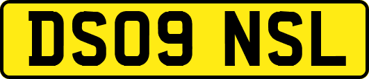 DS09NSL