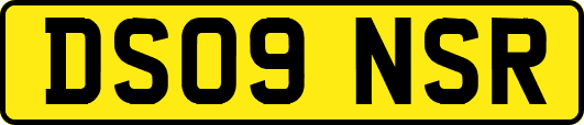 DS09NSR