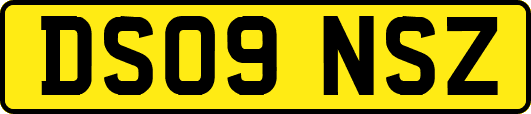 DS09NSZ