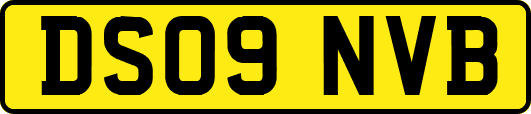 DS09NVB