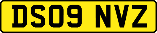 DS09NVZ