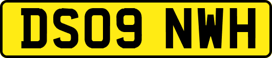 DS09NWH