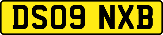 DS09NXB