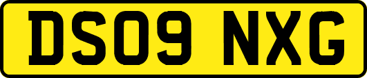 DS09NXG