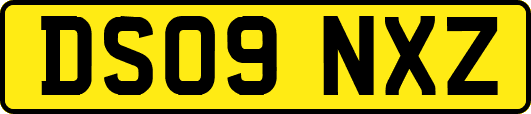 DS09NXZ