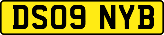 DS09NYB