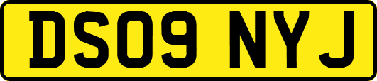 DS09NYJ