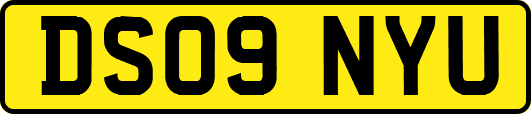 DS09NYU