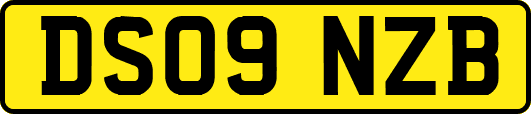 DS09NZB