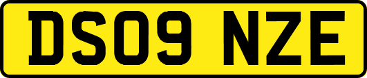 DS09NZE